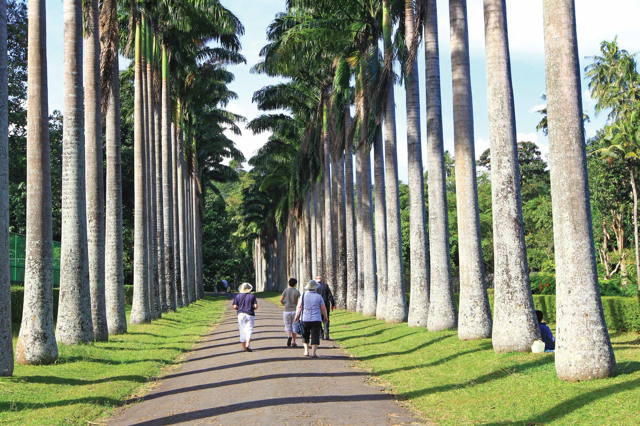 image-2 Peradeniya botanical garden entrance gate