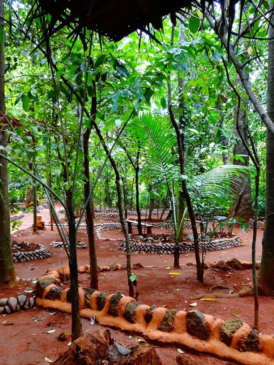 matale spice garden inside spices garden matale garden