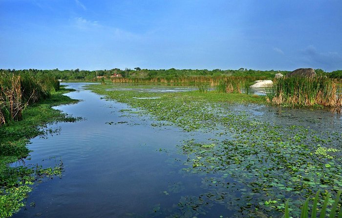 kalamatiya-bird-sanctuary