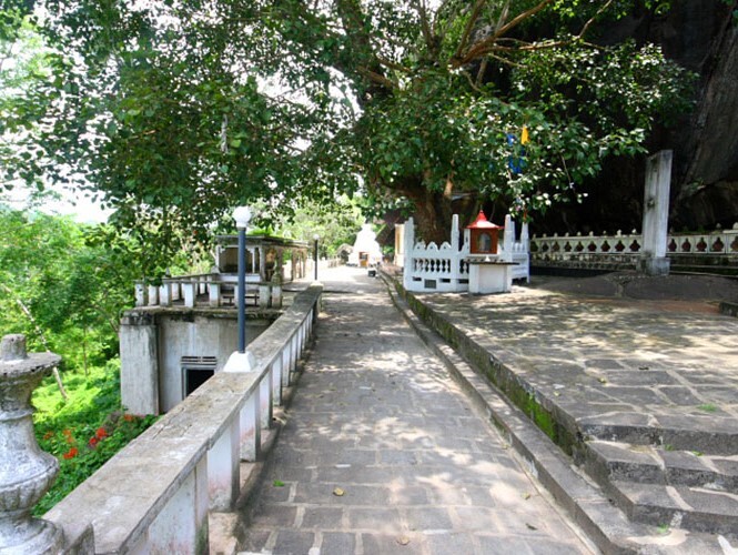 mulkirigala temple bodhiya bo tree in mulkirigala rock temple