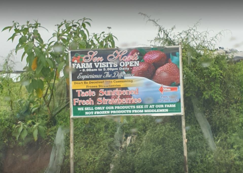 sen horti farm sen horti strawberry farm outside board