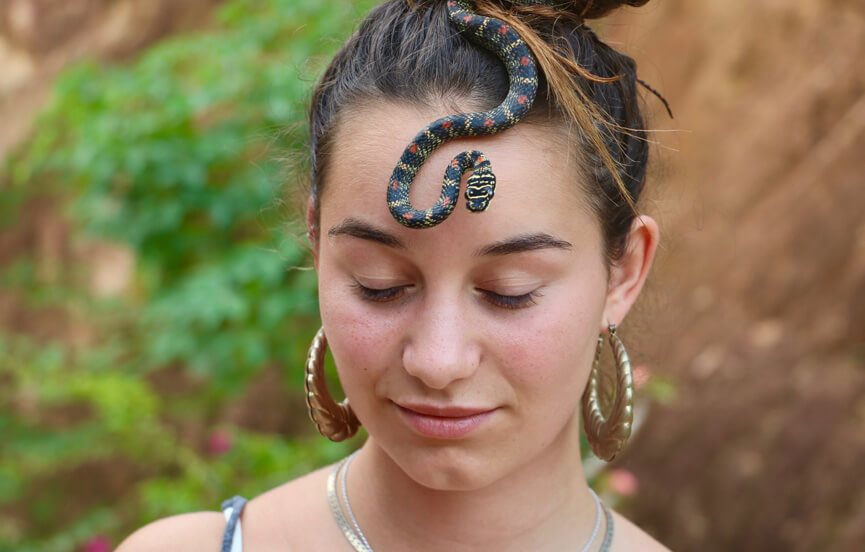 snake_farm