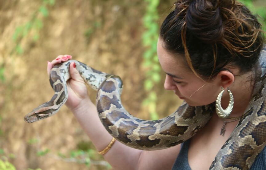 snake_farm1
