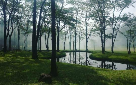 seethawaka park lake with fog seethawaka park lake with fog