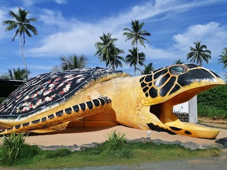 Turtle Hatchery Ahungalla photo Turtle Hatchery Ahungalla photo