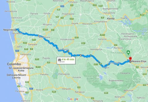 Negombo City to Nuwara Eliya Transfer