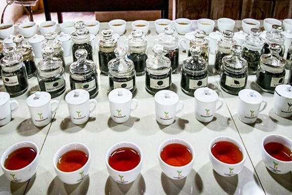 hadunugoda tea virgin white tea cups hadunugoda tea virgin white tea cups