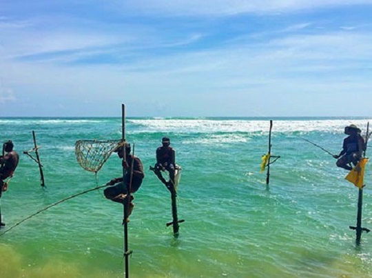stilt fishermans in koggala beach stilt fishermans in koggala beach