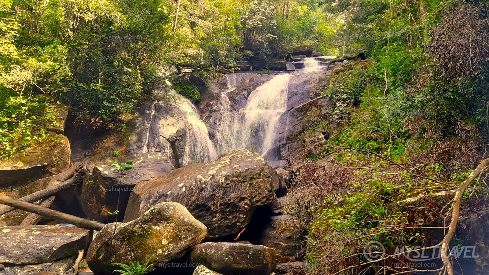 Sinharaja Rain Forest - Water falls at Sinharaja Rain Forest Sinharaja Rain Forest - Water falls at Sinharaja Rain Forest