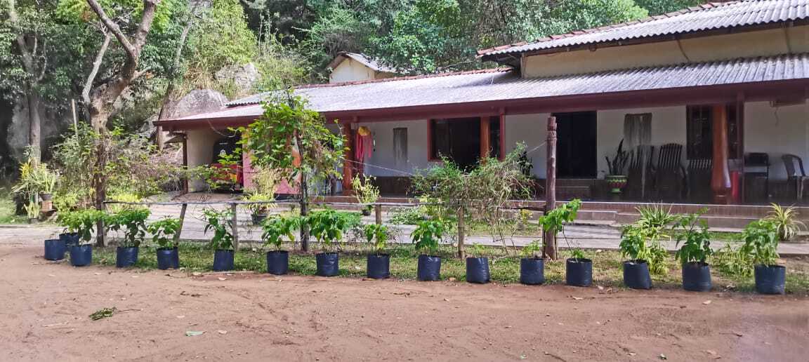 Pidurangala Rock Temple Entrance Ticket Counter Pidurangala Rock Temple Entrance Ticket Counter